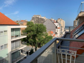 Gaudi 505